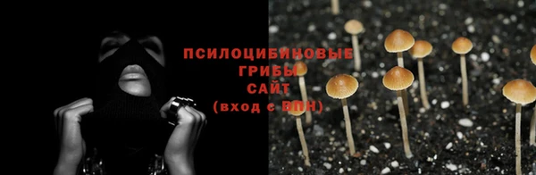 наркотики Алексеевка
