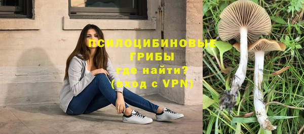 кокаин перу Алзамай