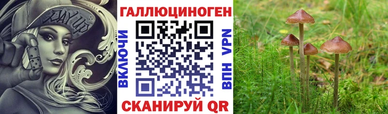 наркота  мега зеркало  Псилоцибиновые грибы Psilocybine cubensis  Сасово 